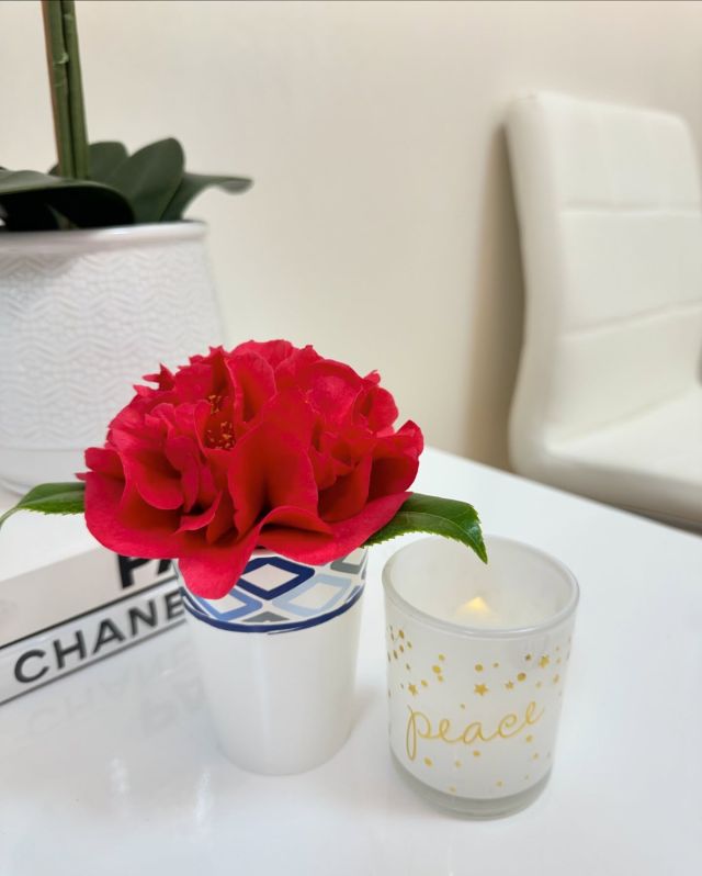 Home - Orange County Microblading, Facials, Lash Extensions 244 Blessed to have clients who always think and support me through thick and thin.Beautiful gift from my client, fresh flowers and a candle that reminds me what's most important. 💕